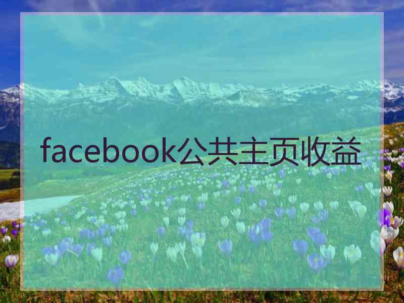 facebook公共主页收益