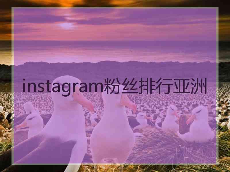 instagram粉丝排行亚洲