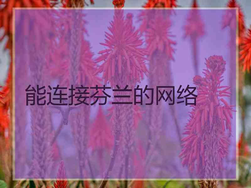 能连接芬兰的网络