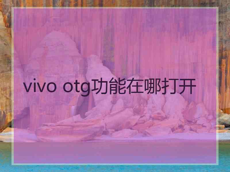 vivo otg功能在哪打开