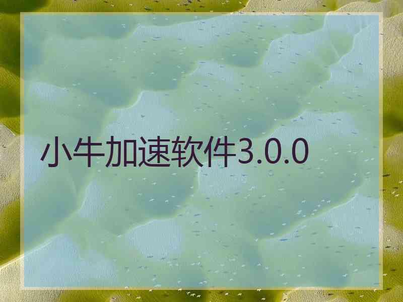 小牛加速软件3.0.0