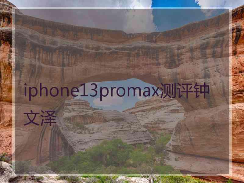 iphone13promax测评钟文泽