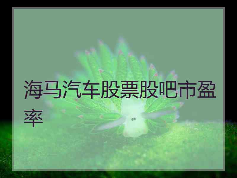 海马汽车股票股吧市盈率