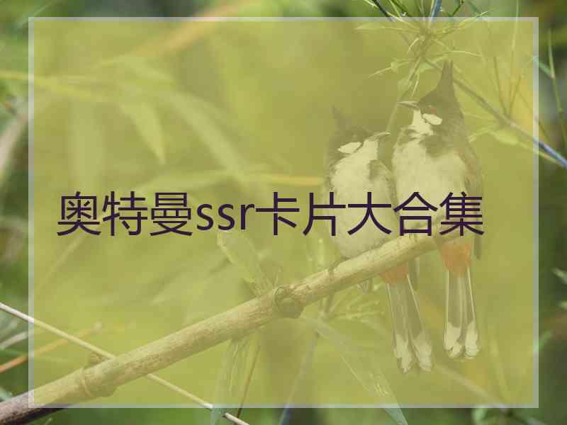 奥特曼ssr卡片大合集