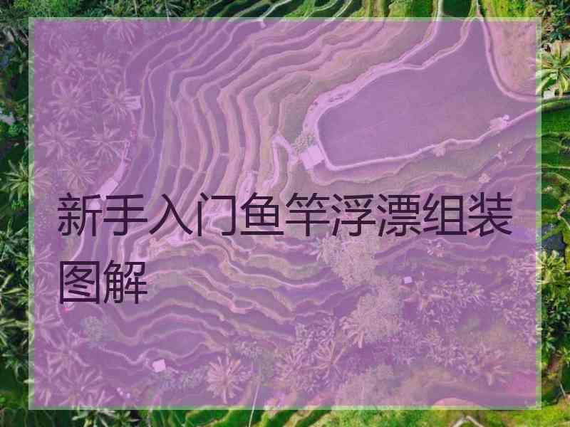 新手入门鱼竿浮漂组装图解