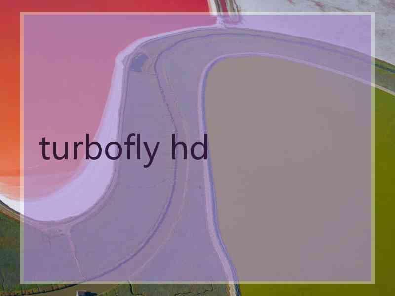 turbofly hd