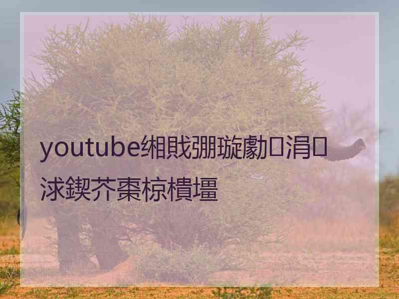 youtube缃戝弸璇勮涓浗鍥芥棗椋樻壃