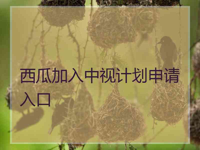 西瓜加入中视计划申请入口