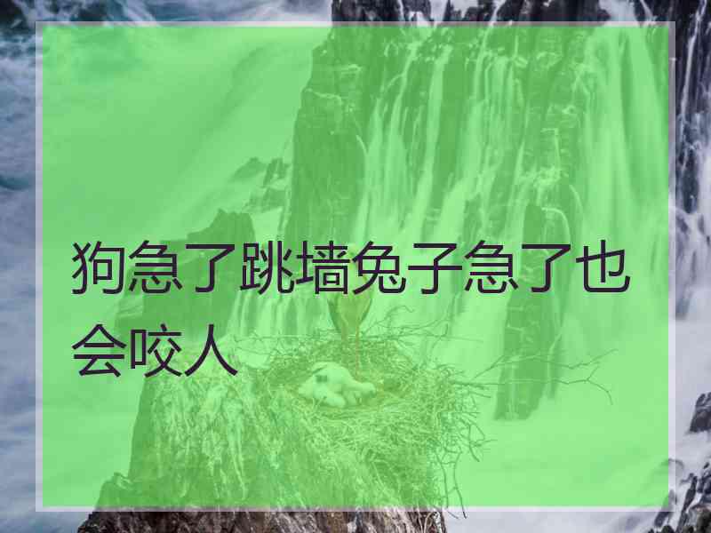 狗急了跳墙兔子急了也会咬人