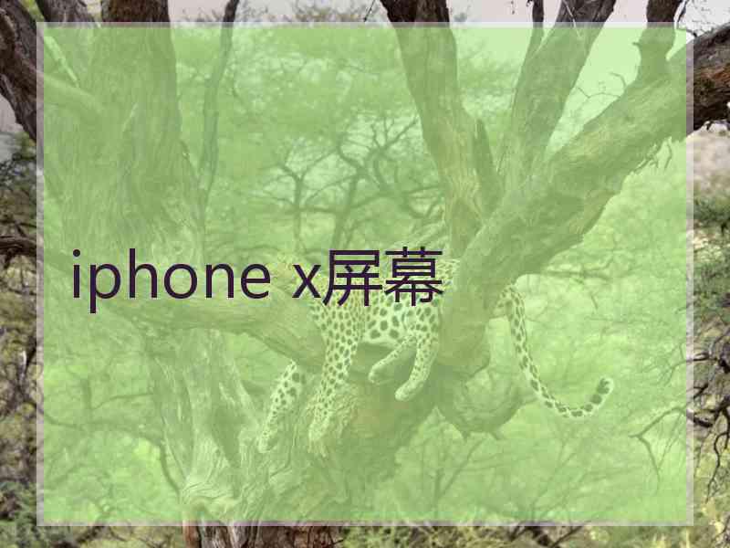 iphone x屏幕