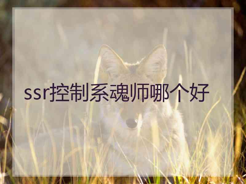 ssr控制系魂师哪个好