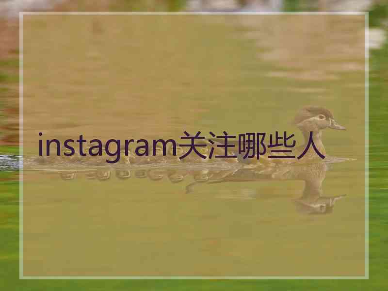 instagram关注哪些人