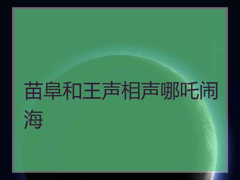 苗阜和王声相声哪吒闹海