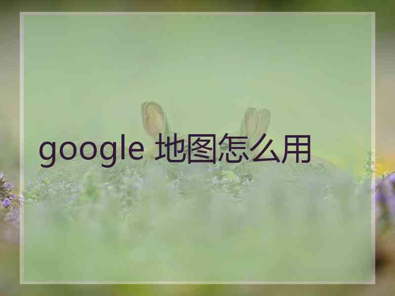 google 地图怎么用