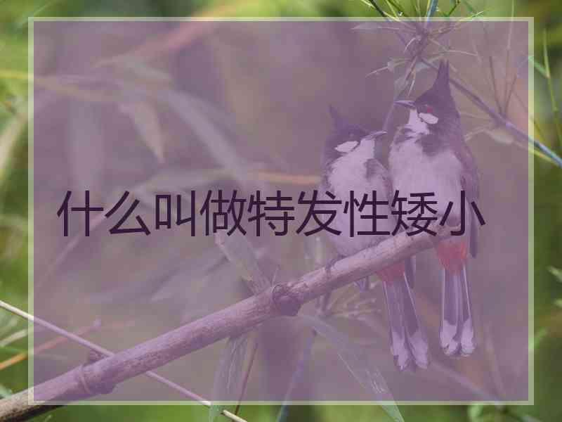 什么叫做特发性矮小