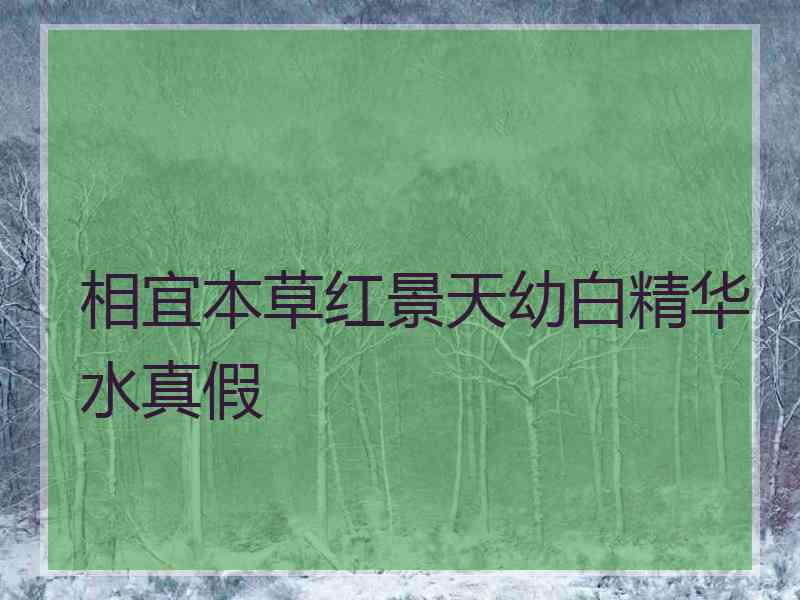 相宜本草红景天幼白精华水真假