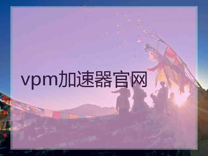 vpm加速器官网