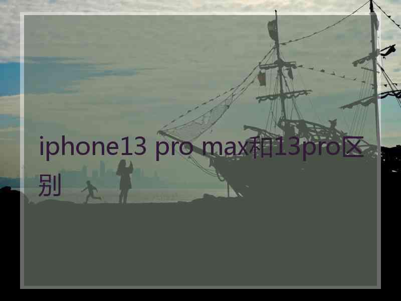 iphone13 pro max和13pro区别