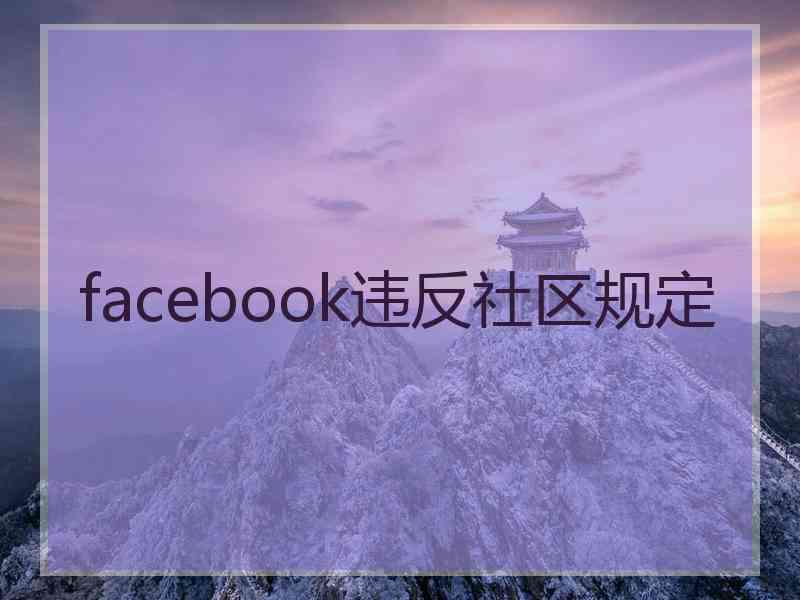 facebook违反社区规定