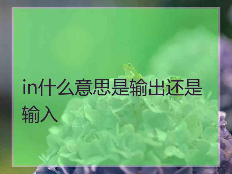 in什么意思是输出还是输入