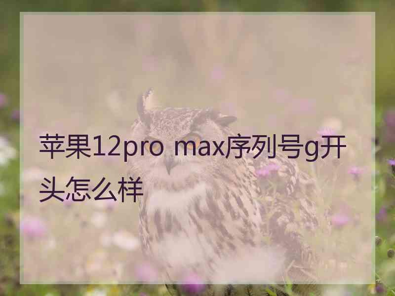 苹果12pro max序列号g开头怎么样