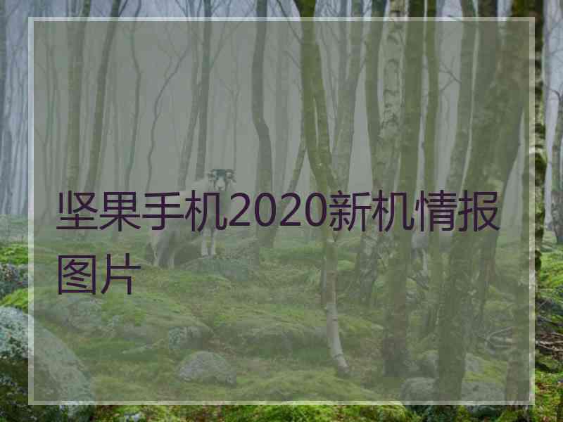 坚果手机2020新机情报图片