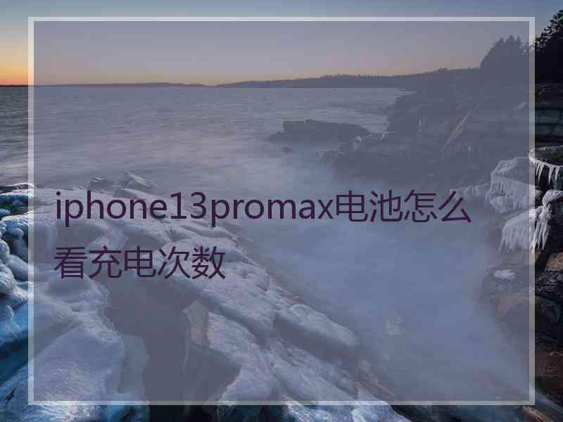 iphone13promax电池怎么看充电次数