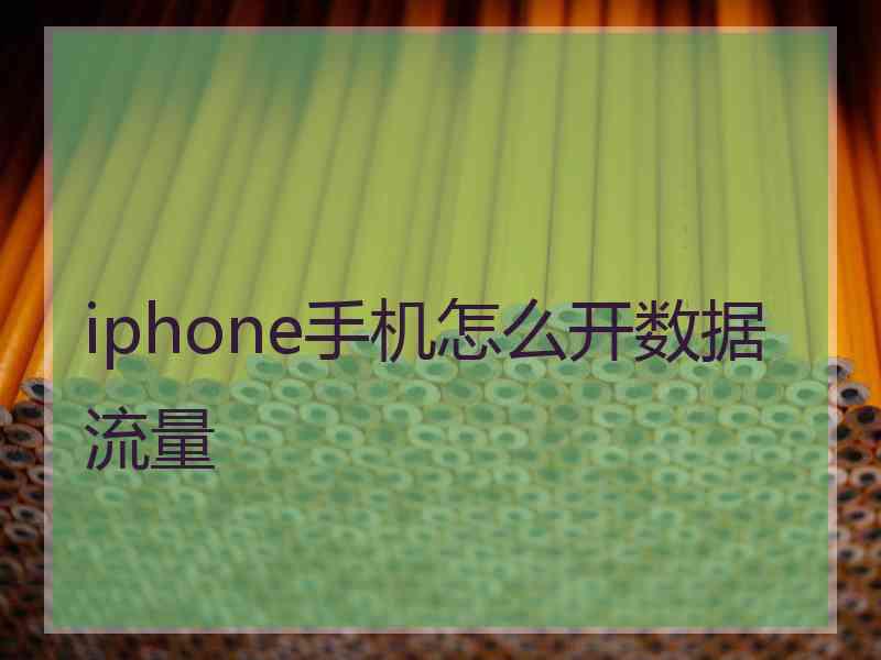 iphone手机怎么开数据流量