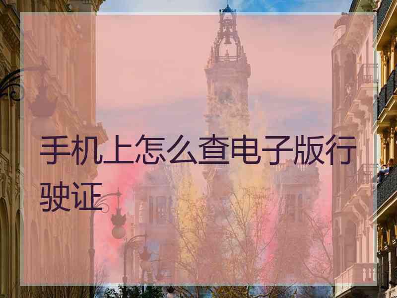 手机上怎么查电子版行驶证