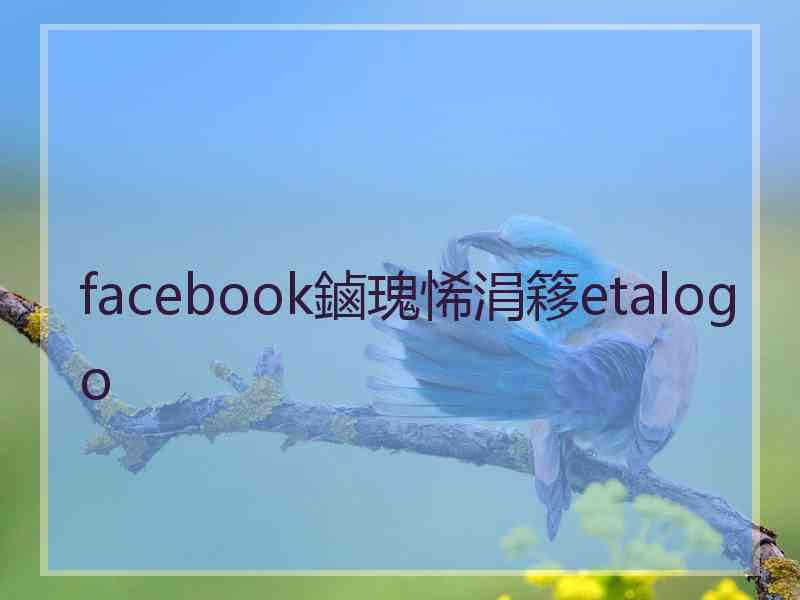 facebook鏀瑰悕涓簃etalogo