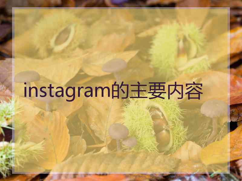 instagram的主要内容