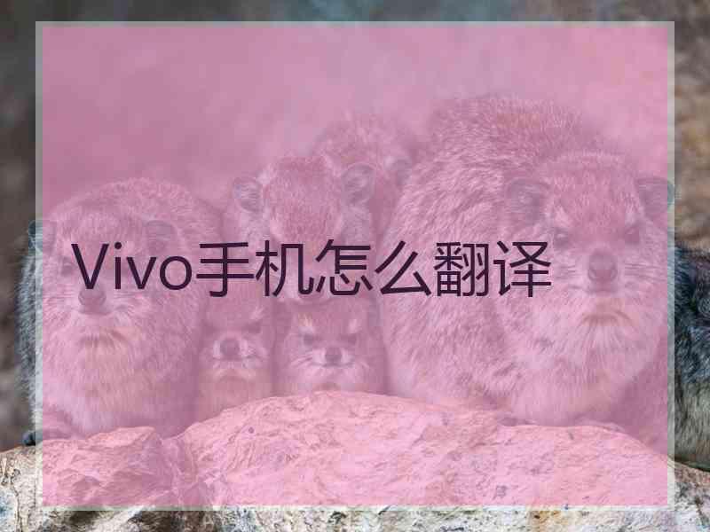 Vivo手机怎么翻译