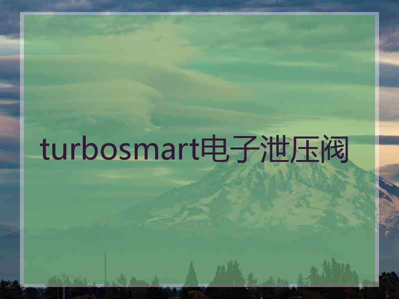 turbosmart电子泄压阀