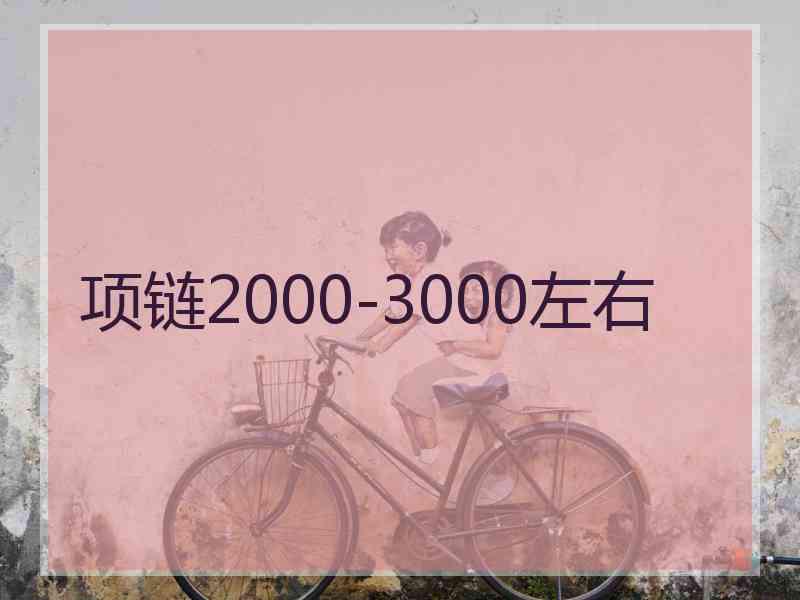 项链2000-3000左右