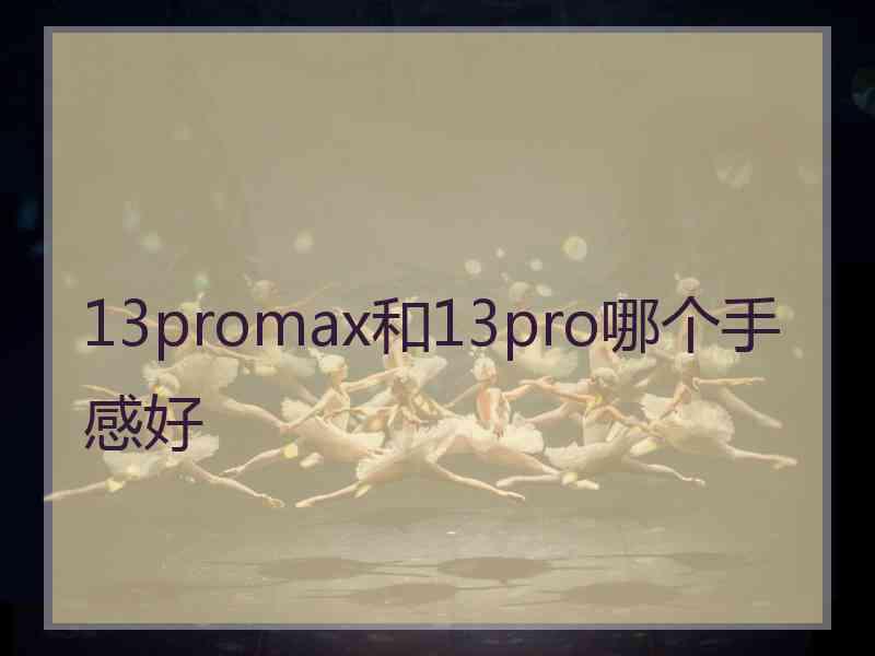 13promax和13pro哪个手感好