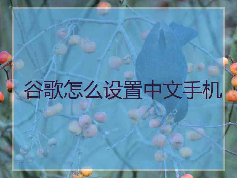 谷歌怎么设置中文手机