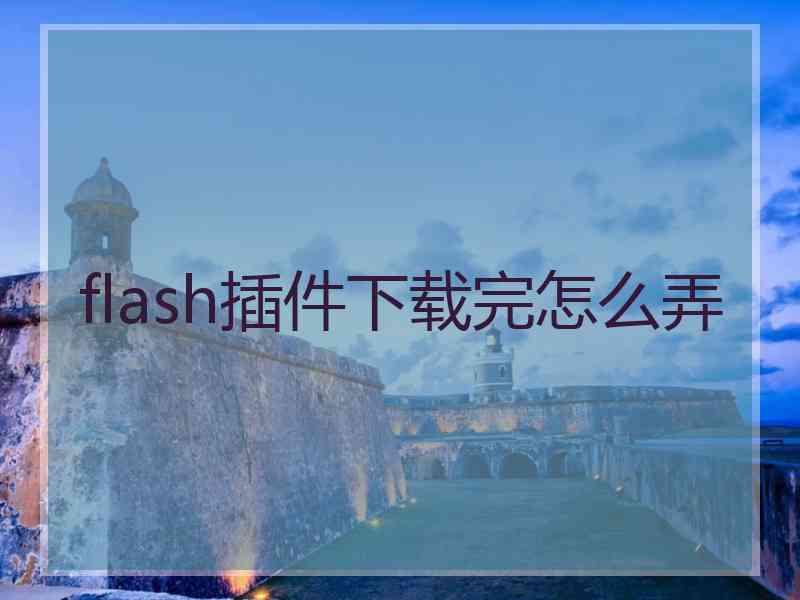 flash插件下载完怎么弄