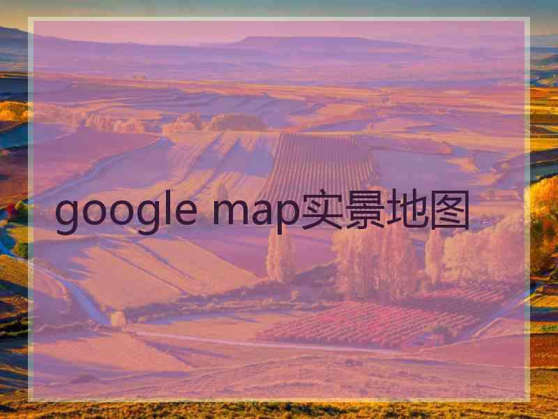 google map实景地图