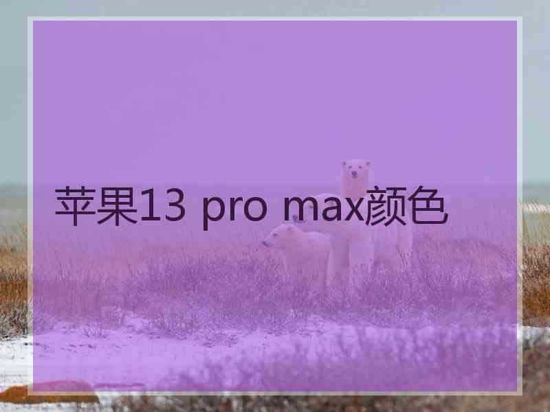 苹果13 pro max颜色