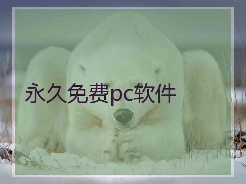 永久免费pc软件