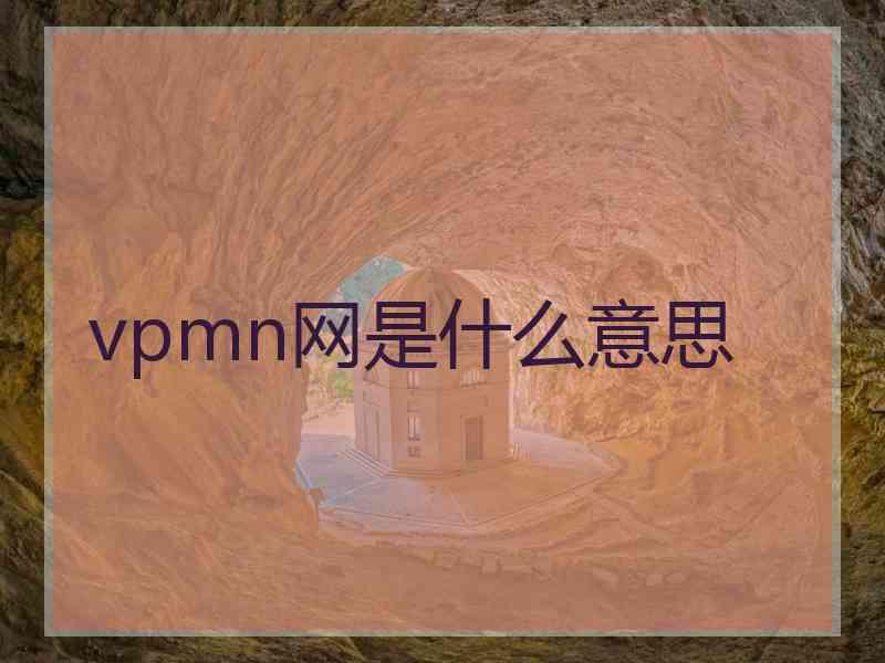 vpmn网是什么意思