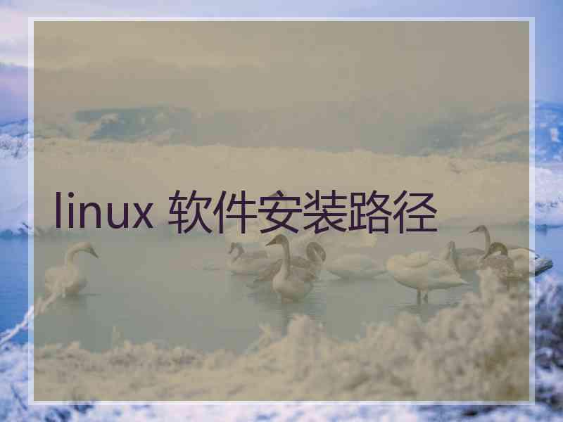 linux 软件安装路径