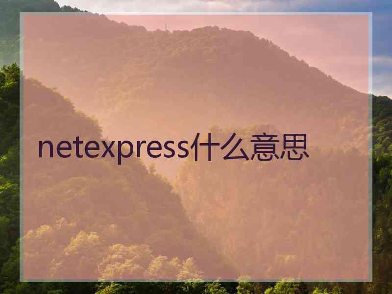 netexpress什么意思