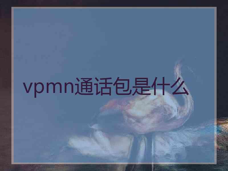 vpmn通话包是什么