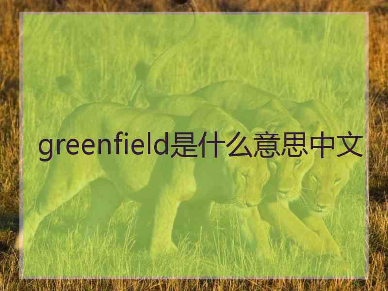 greenfield是什么意思中文