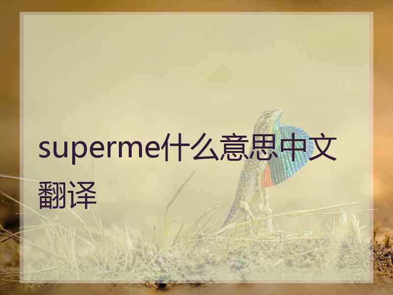 superme什么意思中文翻译