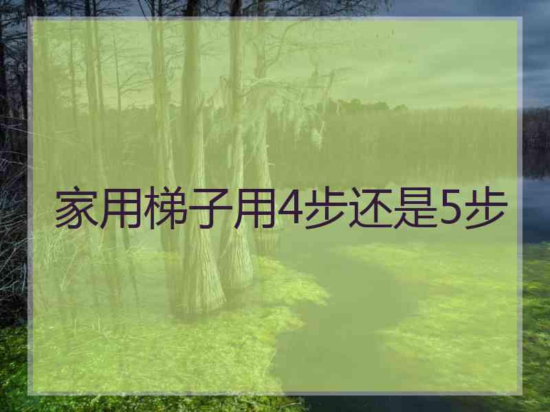 家用梯子用4步还是5步