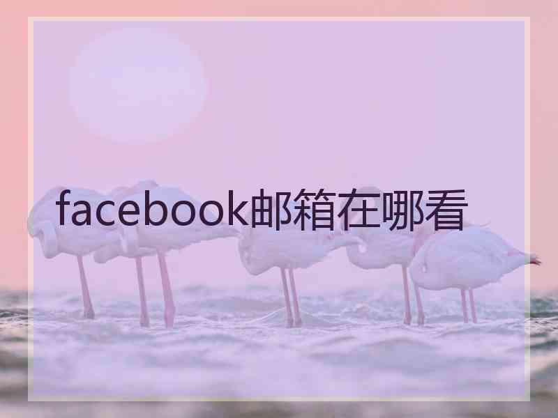 facebook邮箱在哪看