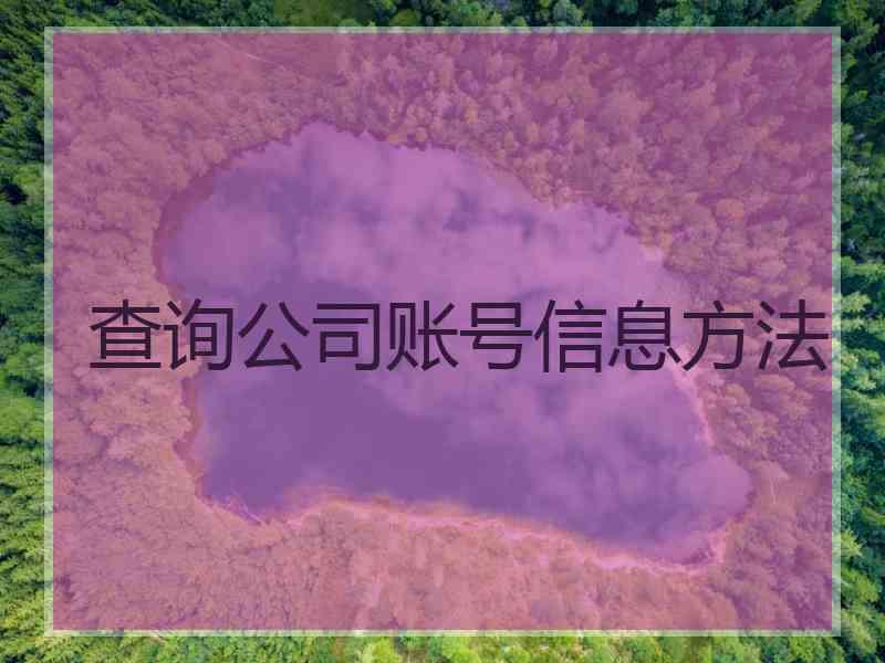 查询公司账号信息方法