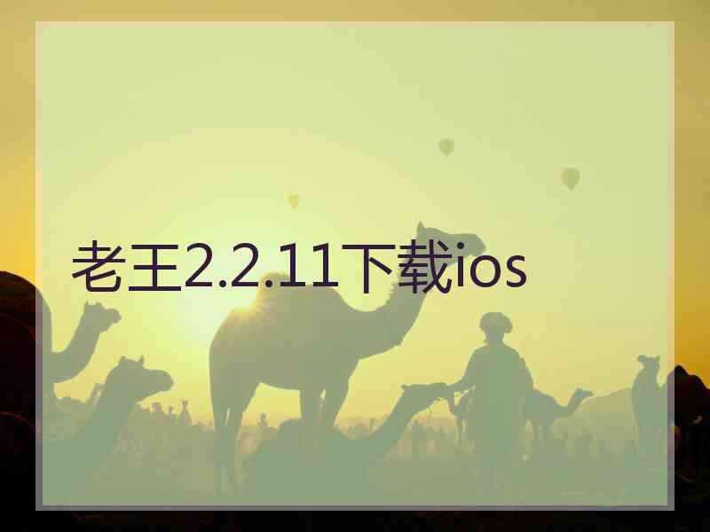 老王2.2.11下载ios